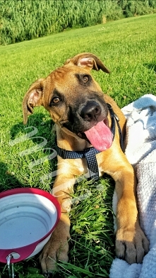 A pewnie, że byłem mały:)