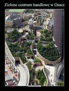 Pięknie... I zakupy od razu...