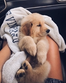 ♡