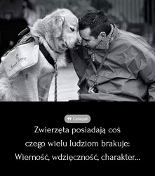 Wierność, wdzięczność, charakter...