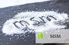 MSM - charakterystyka i zastosowanie