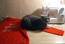 Gumball w akcji! Nie przegapi przerabiania ubrań, pomoże przy robieniu bałaganu za pomocą farb, a także nie przepuści okazji, by wepchnąć się na kolana nawet podczas pracy w dom...