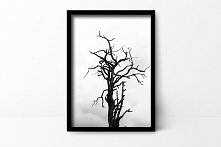 Plakat Drzewo A4