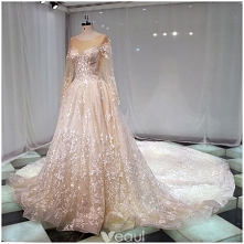 Elegancka Szampan Przezroczyste Suknie Ślubne 2019 Princessa Wycięciem Długie Rękawy Aplikacje Z Koronki Trenem Katedra Wzburzyć