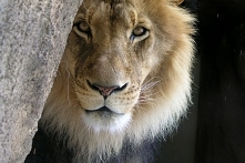 Zastanawialiście się kiedyś...