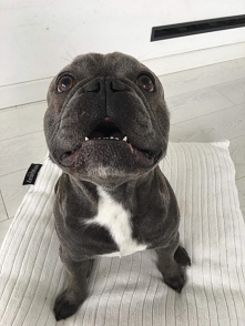 Bisław❤️❤️❤️