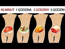 Jak długo pokarmy pozostają w twoim żołądku?