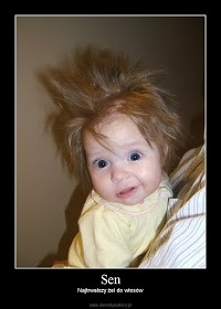 Kliknij w zdjęcie po więcej...