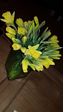 Wiosna, wiosna :)
Od mojego misia:)