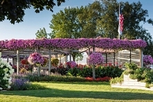 Proven Winners Garden