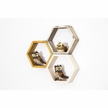 półki w  kształcie plastra miodu  z litego  drewna  różne  kolory  wiele  wariantów  do  wyboru