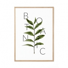 Plakat - Botanic