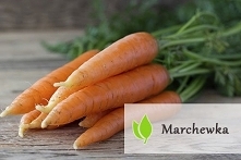 Co kryje w sobie marchew?