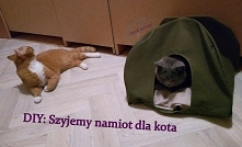 Dlaczego koty lubią się chować? Może warto wymyślić dla swojego mruczka jakąś ciekawą kryjówkę?
Jednym z pomysłów na zapewnienie zwierzakowi miejsca na wypoczynek, wyciszenie i ...