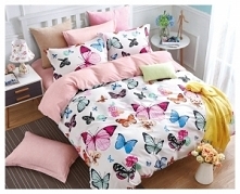 W naszej ofercie znajdziesz...