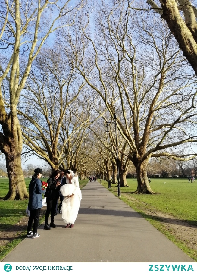 Park, Cambridge - Anglia