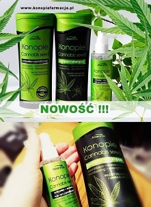 Lubisz konopie... w kosmetykach? A więc z pewnością ucieszą Cię nowości Laboratorium Joanna KONOPIE to Nawilżająco-wzmacniająca linia produktów z ekstraktem z nasion konopi pole...