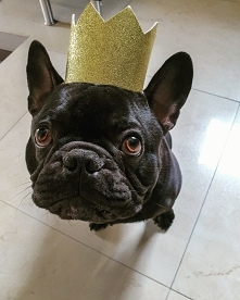 Roczek Teodora :D birthday boy pełna gęba

Insta => @nieidentyczna