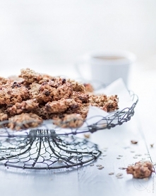 owsiane-ciastka-bezglutenowe-provena-l8