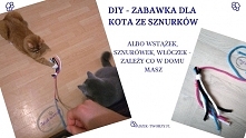Jak zrobić coś z niczego - czyli o kociej zabawce z resztek sznurków po dzierganym dywanie. :)

Jak sprawić kociakowi radochę i zrobić zabawki na kilka sposobów - KLIKnij w zdję...