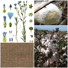 Jaki wpływ mają materiały u...