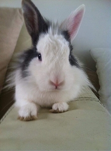 Żegnaj Panie Lucjanie ❤️❤️❤️❤️