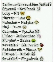 Jestem Jednorożcem! :D