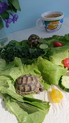 Śniadanie to podstawa a później kawa.