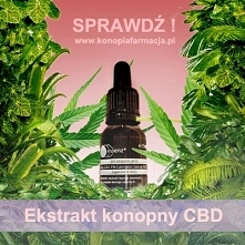 A ty znasz właściwości lecz...