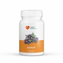 Kapsułki lucerna alfa alfa zawierają ekstrakt z ziela lucerny. Polecane są szczególnie osobom w podeszłym wieku, ponieważ hamują procesy starzenia się organizmu. Zapraszamy!