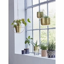 Cudowny pomysł  na wyekspon...