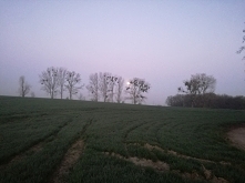 Ten sam poranek.... księżyc...