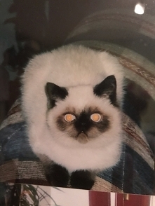 Bazylek w dzieciństwie, 3 miesiące