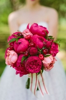 Peonie