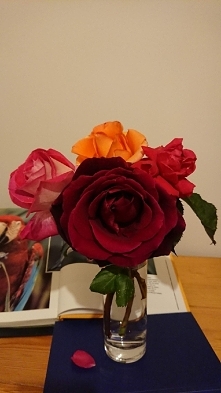 4 róże z jednego ogrodu i każda inna a tylko jedna pachnie , aromaterapia w domu z natury. Jak to mówią -"nic nie robię leżę i pachnę."