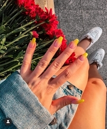 źródło: Msdoncellita