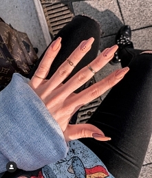 źródło: Msdoncellita