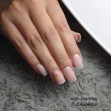 Frenczyk i dmuchawce ręcznie malowane
Moje obecne pazurki