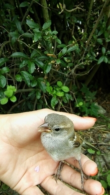 dawny Figielek:)R.I.P