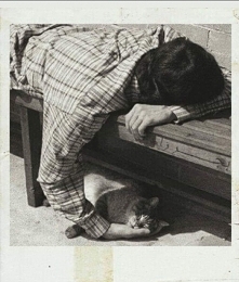 "Kochanie kogoś oznacza, że jego potrzeby są dla ciebie ważniejsze niż własne. Niezależnie od wszystkiego"

Amy Harmon, Inna Blue