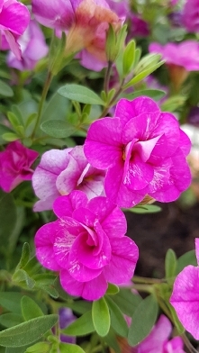 Tymczasem na balkonie