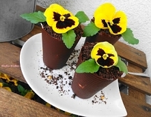 Jadalne Doniczki. Świetny p...