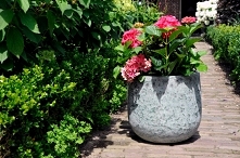 fajnedonice! Donica z efekt...