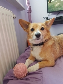 Moje rude szczęście:)