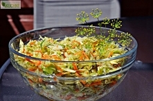 Surówka z młodej kapusty z ogórkiem i kalarepką