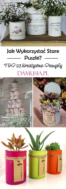 Jak Wykorzystać Stare Puszki? – TOP 23 Kreatywne Pomysły