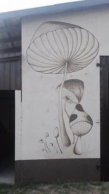 Grzybki na garażu pomysł taty, stare dzieje