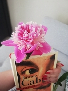 Nowa książka i piękne kwiaty. Czego chcieć więcej? Idealny poranek