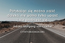 Johann Wolfgang von Goethe cytat o wytrwałości