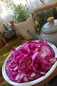 Dżemik z jadalnej róży juz ...